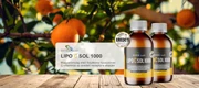 lipoc