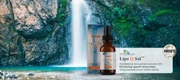 lipoq