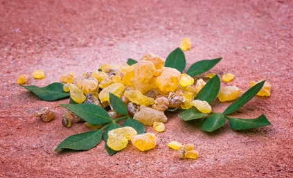 A boswellia gyulladáscsökkentő szerepe